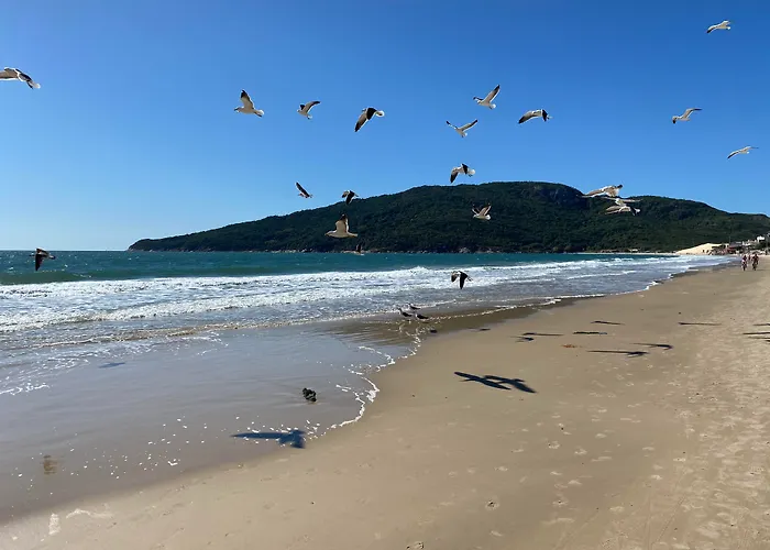 &Pousada FavaretoHotel Florianopolis